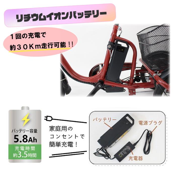 ミムゴ E-PARTON(イーパートン)BEPN18 ロータイプ電動アシスト ミムゴ E-PARTON(イーパートン)BEPN18 ロータイプ電動アシスト