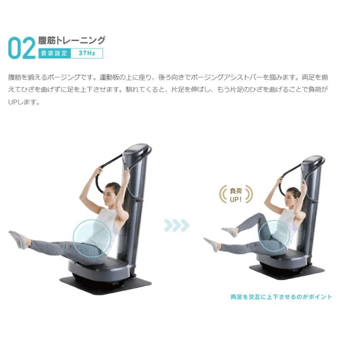 フジ医療器 ダイエット トレーナー コア DT-C1000 音波振動