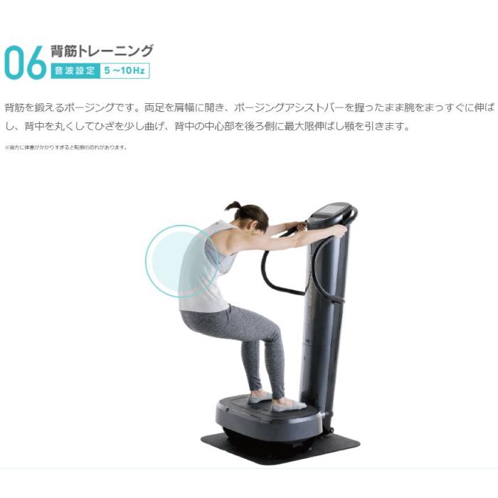 フジ医療器 ダイエット トレーナー コア DT-C1000 音波振動