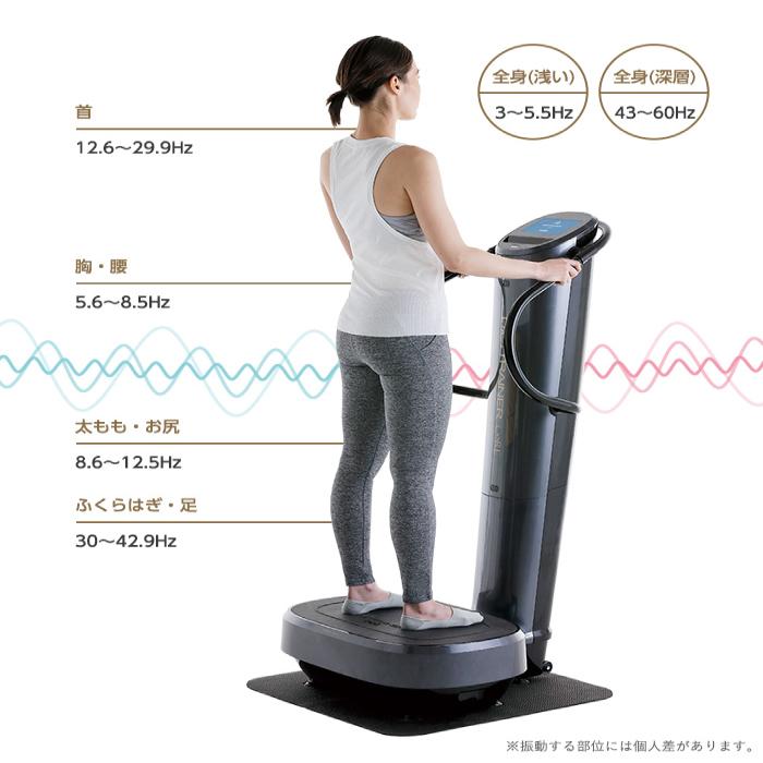 フジ医療器 ダイエット トレーナー コア DT-C1000 音波振動 