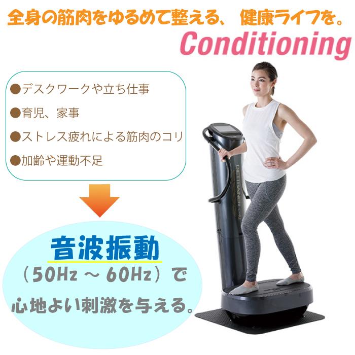 フジ医療器 ダイエット トレーナー コア DT-C1000 音波振動 