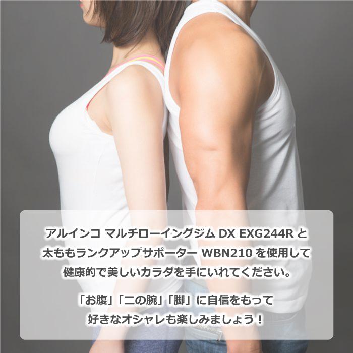 ALINCO 「お買得セット」 アルインコ マルチローイングジムDX ALINCO 「お買得セット」 アルインコ マルチローイングジムDX