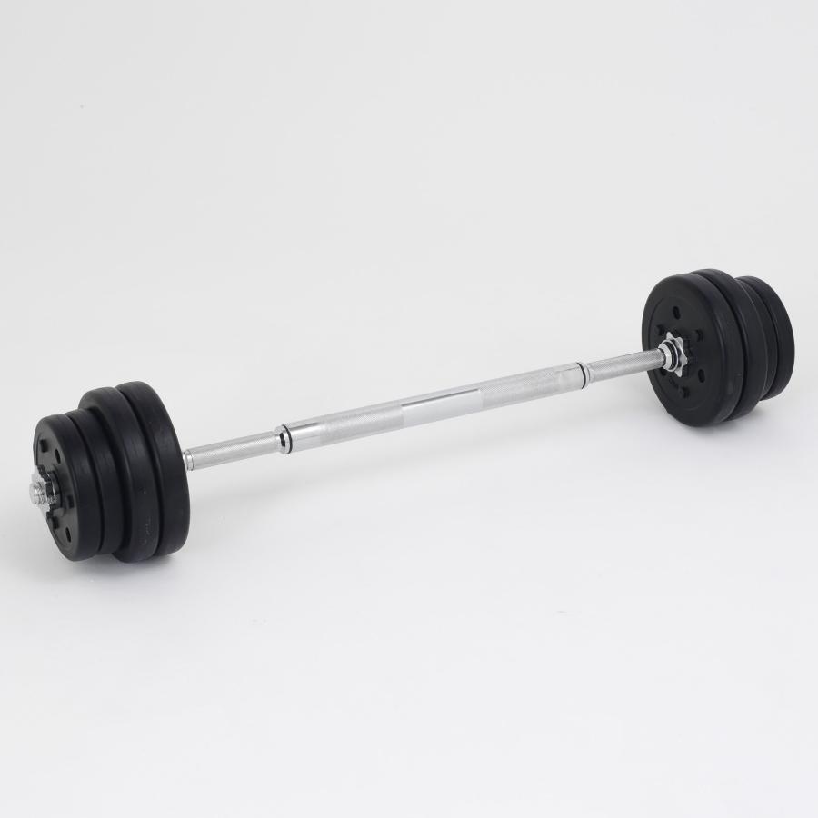ALINCO アルインコ セメントダンベルセット EXG421 （10kg×2