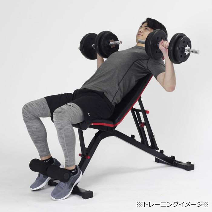 ALINCO（アルインコ） アジャスタブルベンチ PRO FA223 シットアップ