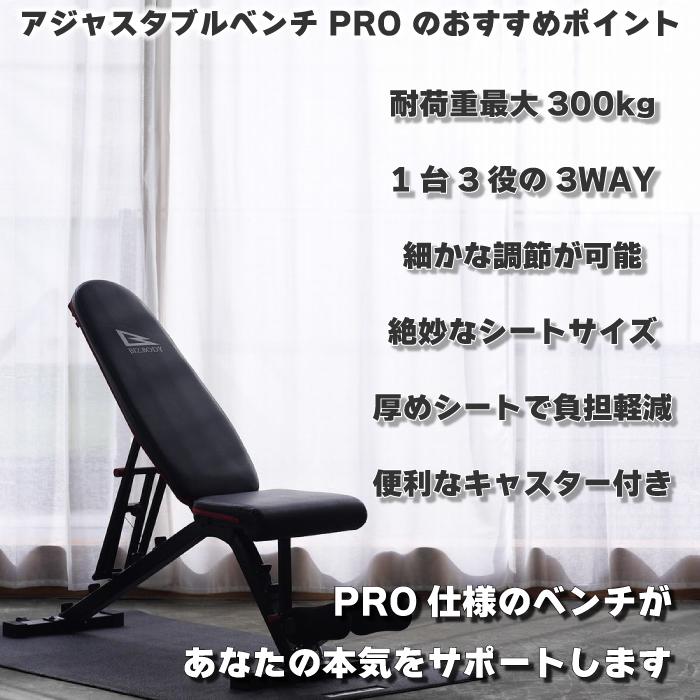ALINCO（アルインコ） アジャスタブルベンチ PRO FA223 シットアップ