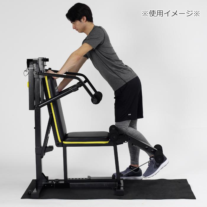 ALINCO アルインコ マルチワークアウトジム FAG2022 家庭用