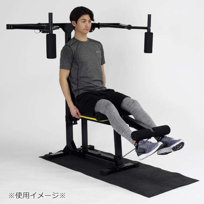 ALINCO アルインコ マルチワークアウトジム FAG2022 家庭用 ALINCO アルインコ マルチワークアウトジム FAG2022 家庭用