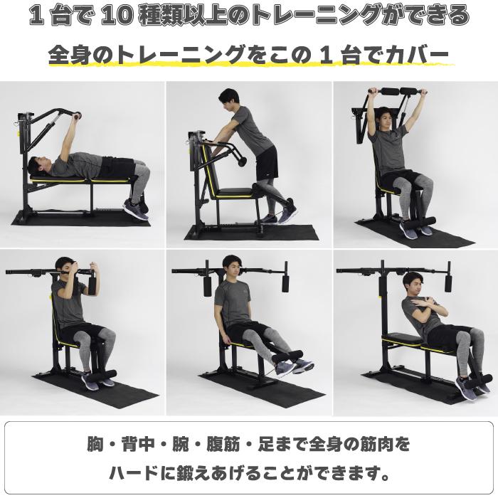 ALINCO（アルインコ） マルチワークアウトジム FAG2022 家庭用