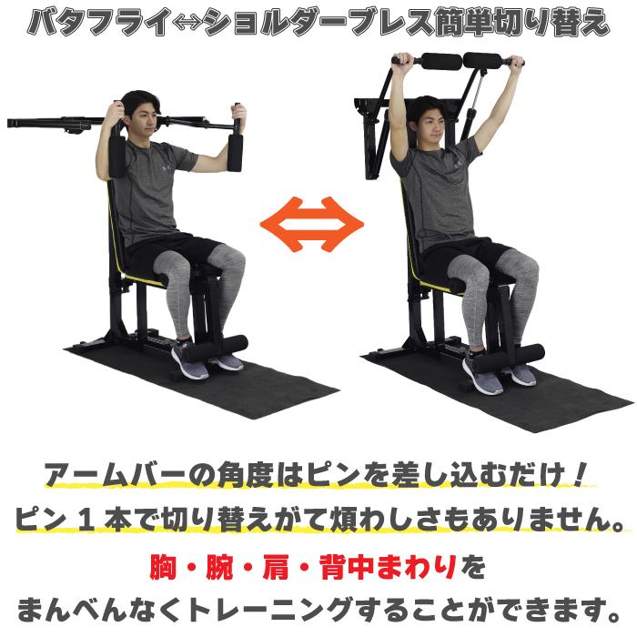 ALINCO アルインコ マルチワークアウトジム FAG2022 家庭用