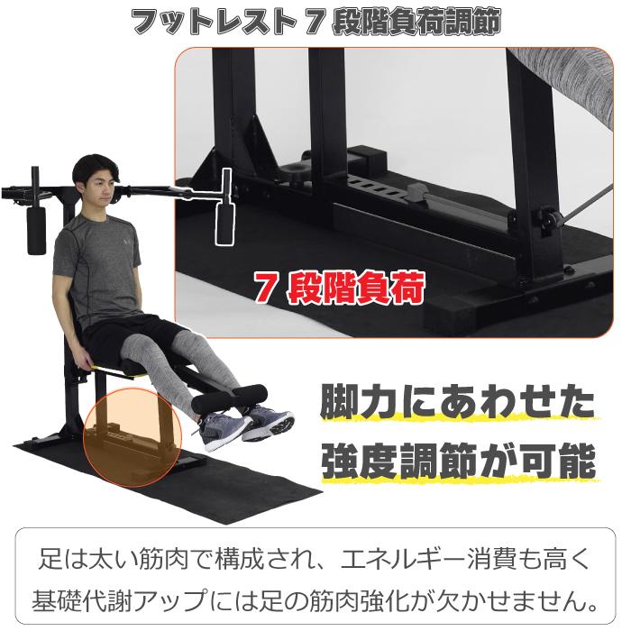 ALINCO（アルインコ） マルチワークアウトジム FAG2022 家庭用