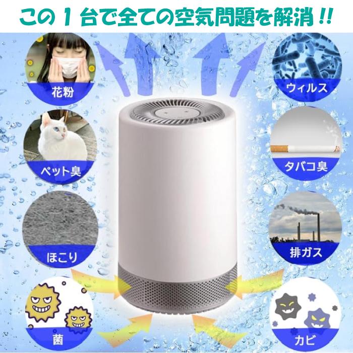 デレクト・ビュー オゾン発生器 空気清浄機 小型 除菌 脱臭 ペット