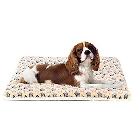 再再販 逸品 Ultra Soft Pet Dog Cat Bed Mat with Cute Prints Reversible Fleece C並行輸入品 janeprophet.com janeprophet.com