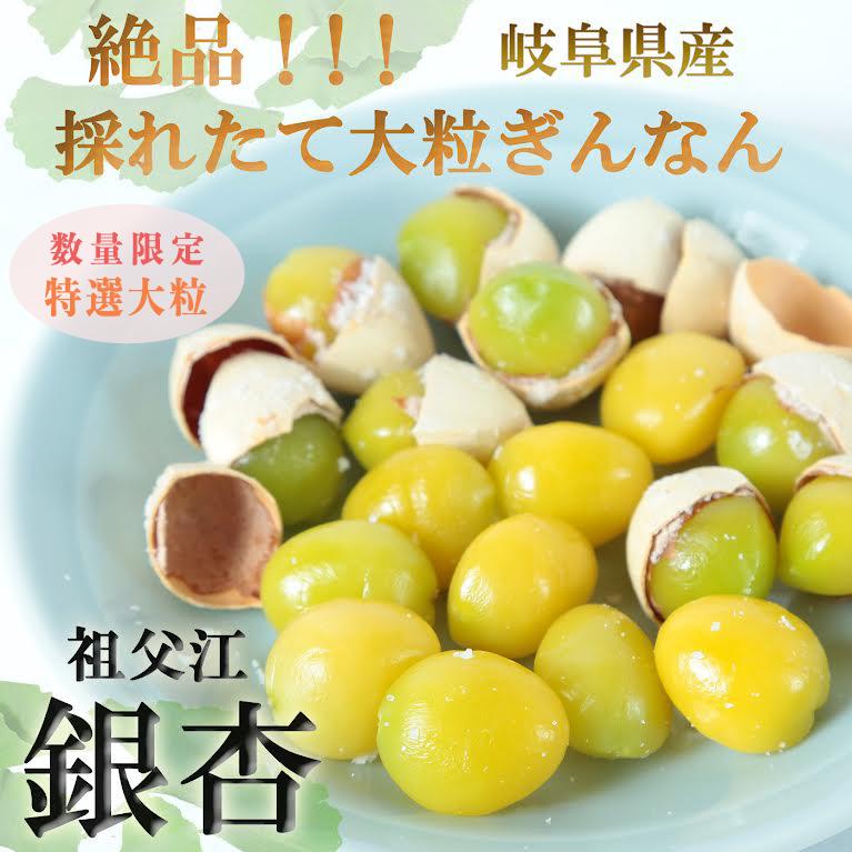 特選 大粒4g越えの 銀杏（藤九郎）約600g 岐阜県産 ぎんなん