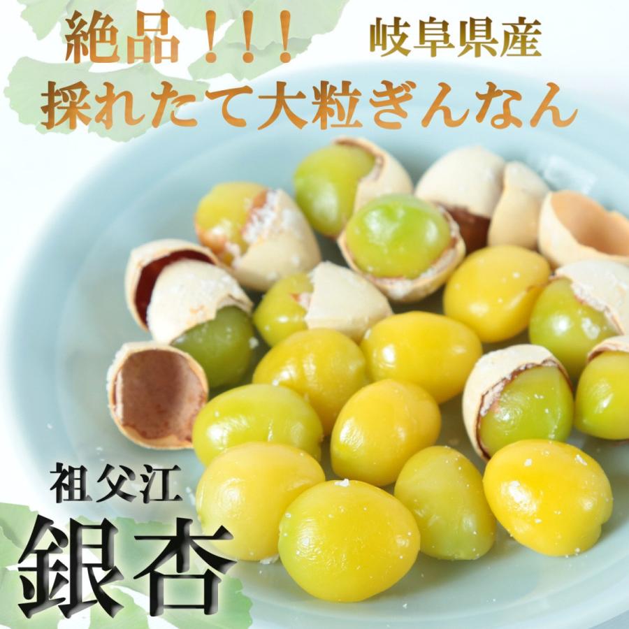 銀杏 ぎんなん 大粒 約450ｇ 送料無料 岐阜県産 ギンナン 藤九郎 2 ハヤシ農園ストア 通販 Yahoo ショッピング