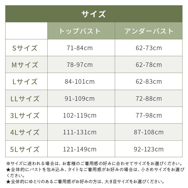公式 Nmerry 【2枚セット】 育乳ブラ エヌメリー 大きいサイズ 