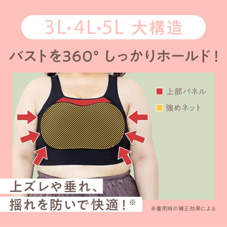 公式 Nmerry 【2枚セット】 育乳ブラ エヌメリー 大きいサイズ 