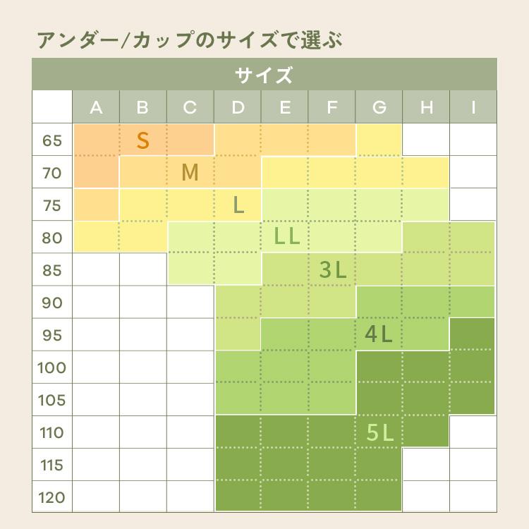 公式 emmerday! エマーデイ 感動シルエット ノンワイヤーブラ 小
