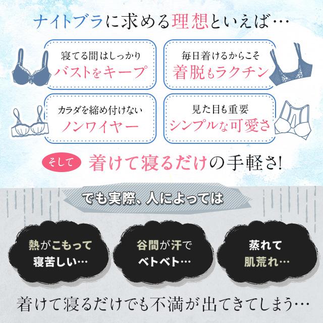 Viage ナイトブラ エアー 公式 3枚セット ビューティ 育乳 バスト