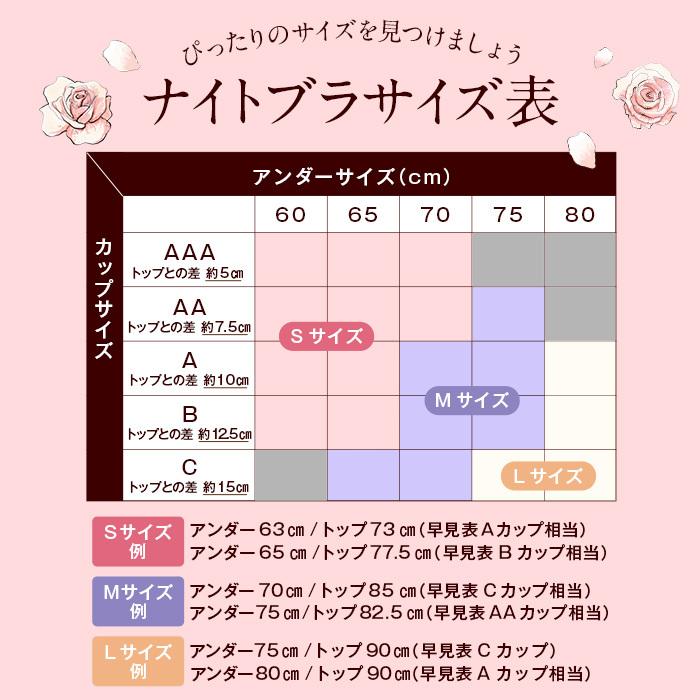 公式】【3枚セット】LUNA ナチュラルアップ ナイトブラ バストアップ