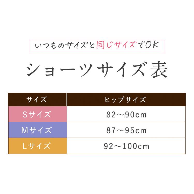 ショーツ ナイトブラ セット luna 公式 LUNAナチュラルアップ ナイトブラ&ショーツセット バストアップ 育乳の画像