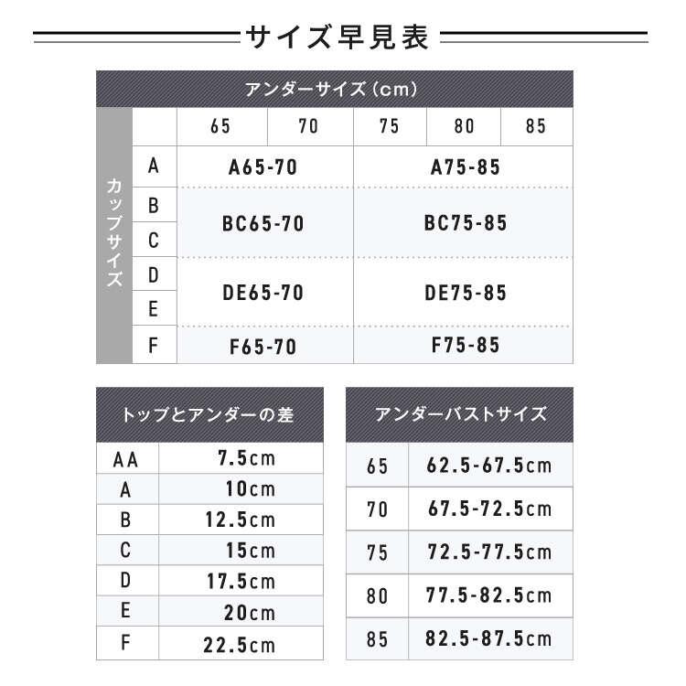 公式 TOLEETY トゥリーティ ブラジャー ブラ ショーツ セット 【単品