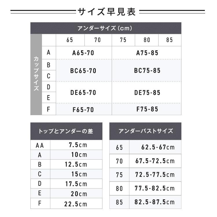 公式 TOLEETY トゥリーティ ブラジャー ブラ ショーツ セット 【単品