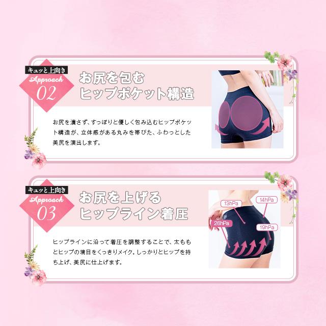 Viage ショーツ ナイトブラ 3枚セット VIAGE 【公式 Viage ショーツ ナイトブラ 3枚セット VIAGE 【公式