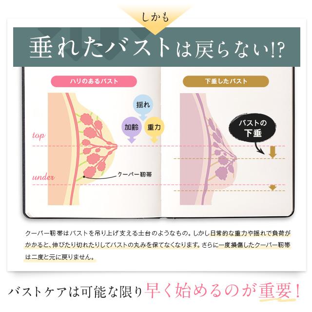 ショーツ ナイトブラ 3枚セット VIAGE 公式 ナチュラルアップ ナイトブラ&ショーツセット バストアップ 補正下着 ノンワイヤーの画像
