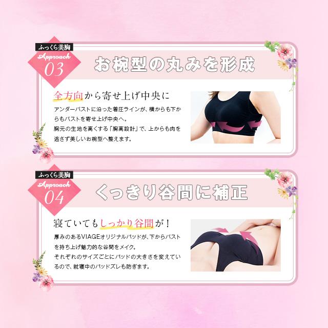 Viage ショーツ ナイトブラ 3枚セット VIAGE 【公式 Viage ショーツ ナイトブラ 3枚セット VIAGE 【公式