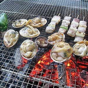 炭 備長炭 土佐バラ5kg 国産 木炭 燃料 高火力 長時間燃焼 灰少 煙少 白炭 オガ 業務用 紀州 火鉢 七輪 BBQ お花見 キャンプ 焼き鳥 焼肉 豊栄 消臭 浄水 トイレ