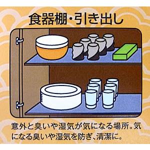 ３個 備長炭シート DXデラックス 防カビ強化仕様 カット済30×450cm 下駄箱 衣装ケース 引出し タンス シンク下 床下収納 カビが気になる場所に！_3