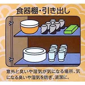 ５個 備長炭シート DXデラックス 防カビ強化仕様 カット済 1×1ｍ2枚入5個 押入 畳下 クローゼット ウッドカーペット 絨毯 クッションフロア 床下収納 下駄箱の画像