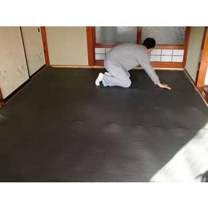 備長炭シート専用 強力両面テープ 25mm×15m エチレン樹脂系強化 備長炭シート固定用 壁面 天井 畳下 床下 クローゼット 押入 しっかり固定 一人作業も効率UP |  | 10