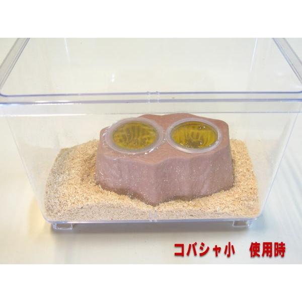 ゼリーカップ ダブル 16gゼリー用 : 昆虫専門店ホビー倶楽部 - 通販