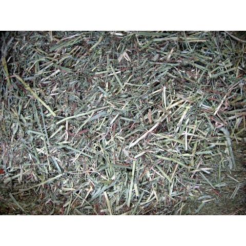 チモシー1番刈 20kg 箱入り 牧草 うさぎ 小動物 良質な牧草 : 昆虫専門 