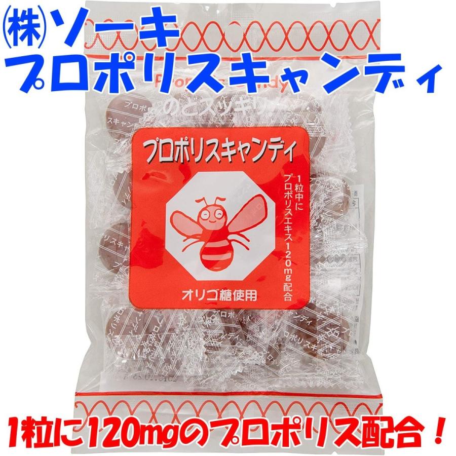 プロポリスキャンディ 100g ソーキ 送料無料｜hobby-joy