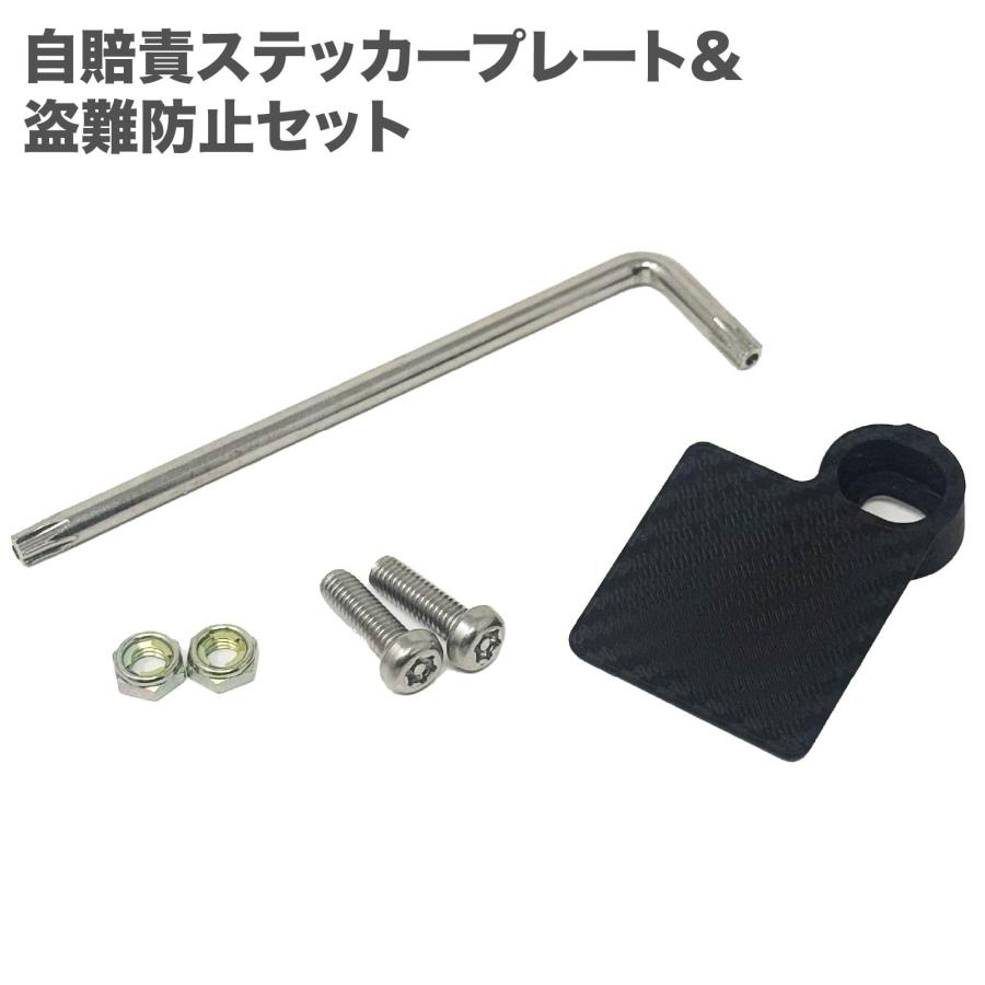自賠責ステッカープレート ステー カーボンパターン 盗難防止ボルト