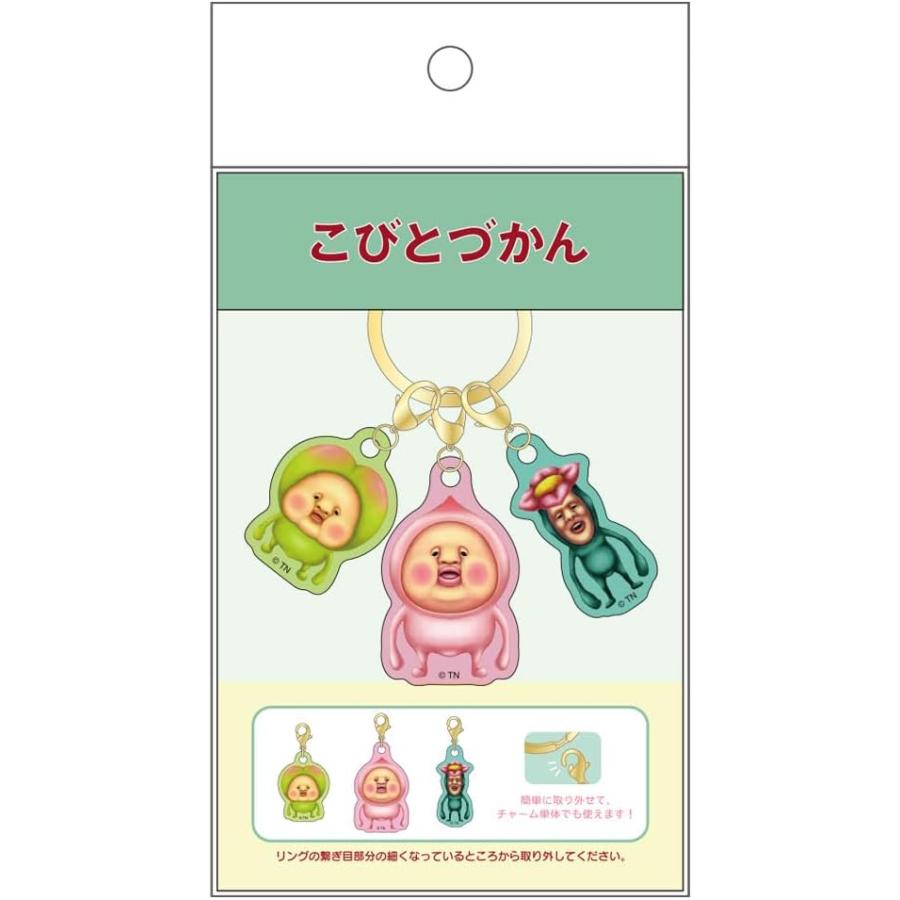 スケーター こびとづかん／3チャームキーホルダー(A)／ネコポス発送可