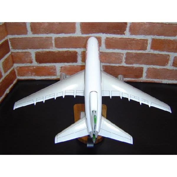1/124 L-1011 ロッキード (TRISTAR) VR-HHL キャセイ 1/124 L-1011 ロッキード (TRISTAR) VR-HHL キャセイ