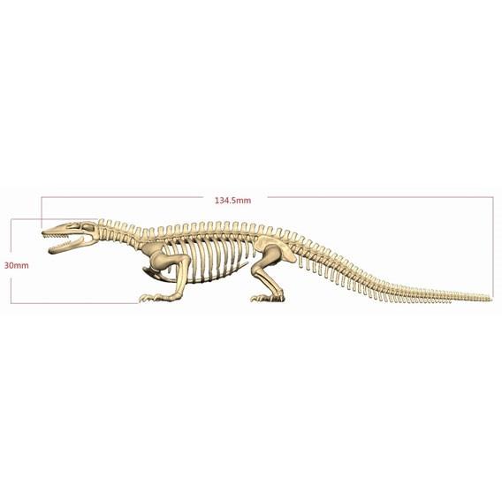 ポーズスケルトン 爬虫類両生類 No 3 コモドドラゴン 再販 リーメント 22 J00 Np ホビーゾーン 通販 Yahoo ショッピング