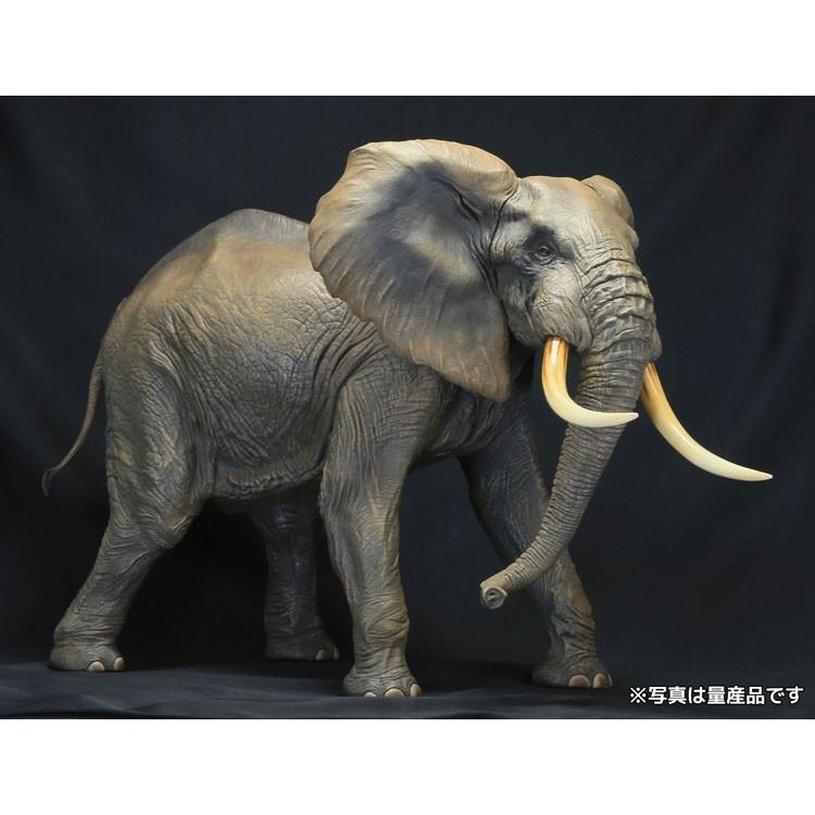 メガソフビアドバンス Msa 007 アフリカゾウ 再販 海洋堂 22 J00 Np ホビーゾーン 通販 Yahoo ショッピング