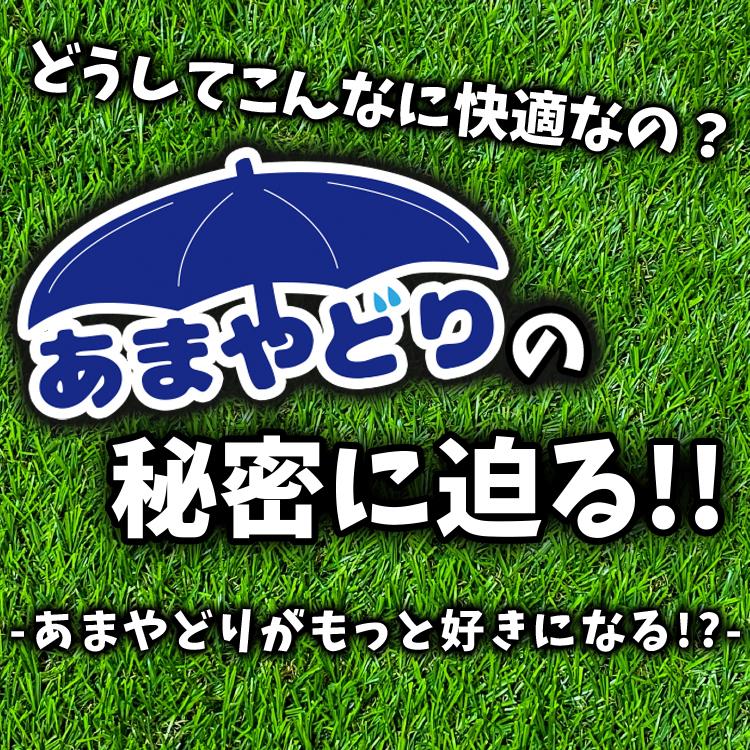 アウトドア 防水 レジャー シート キャンプ キャンプ用品 折りたたみ 折り畳み 大きい テーブル グランドシート テント 防水マット 雨よけ 01｜hobbyman｜12