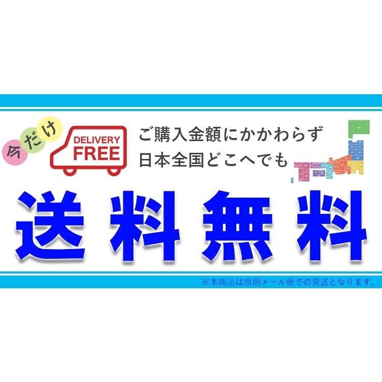 レンズキャップ 11種 キャノン パナソニック ニコン ソニー オリンパス リコー 富士フィルム ペンタックス タムロン ビクター対応｜hobbyone｜06