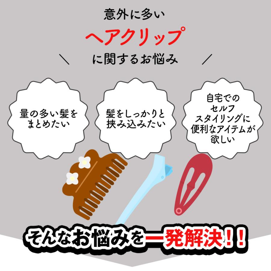 ZELDNER（ゼルドナー） ワニクリップ 10本セット ヘアクリップ