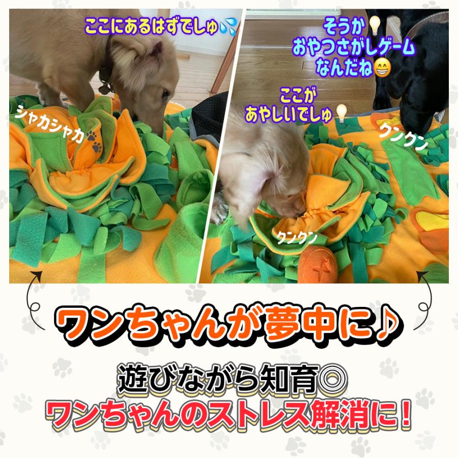 犬猫用 おやつ探し 早食い防止 人気知育玩具 ペット給餌 嗅覚訓練 おもちゃ Amazon | 犬 猫用人気知育玩具 ペット給餌 早食い防止 おもちゃ