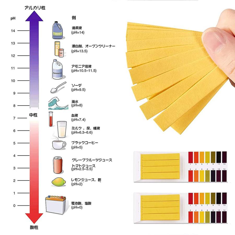 リトマス 紙 色