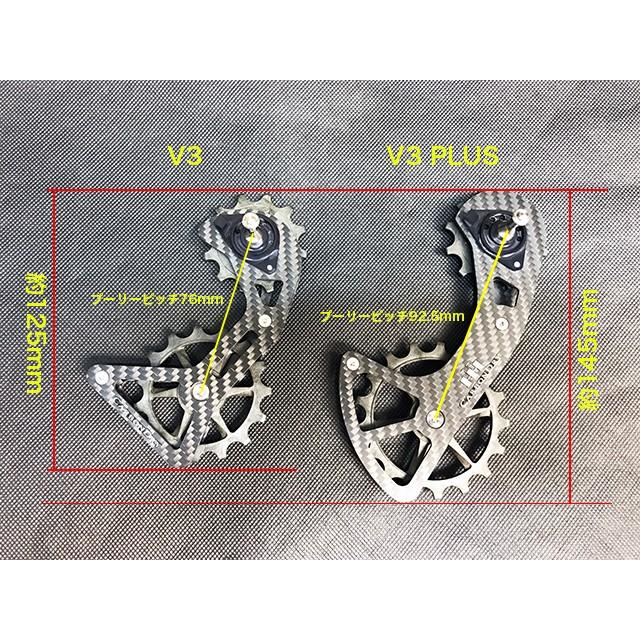 カーボンドライジャパン CARBON DRY JAPAN CDJ V3 PLUS ビッグ