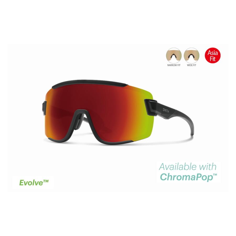 SMITH スミス サングラス Wildcat Asia Fit フレームMatte Black