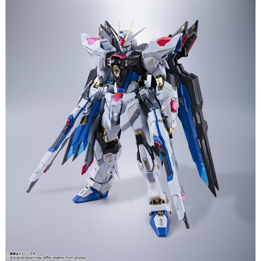 BANDAI（バンダイ） METAL BUILD 機動戦士ガンダムSEED DESTINY