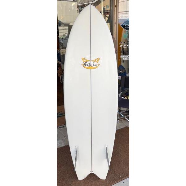 試乗ボード】HOBIE SPACE FISH（イアンガトロン IANGOTTORON スペース